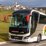 Lions Coach Bus